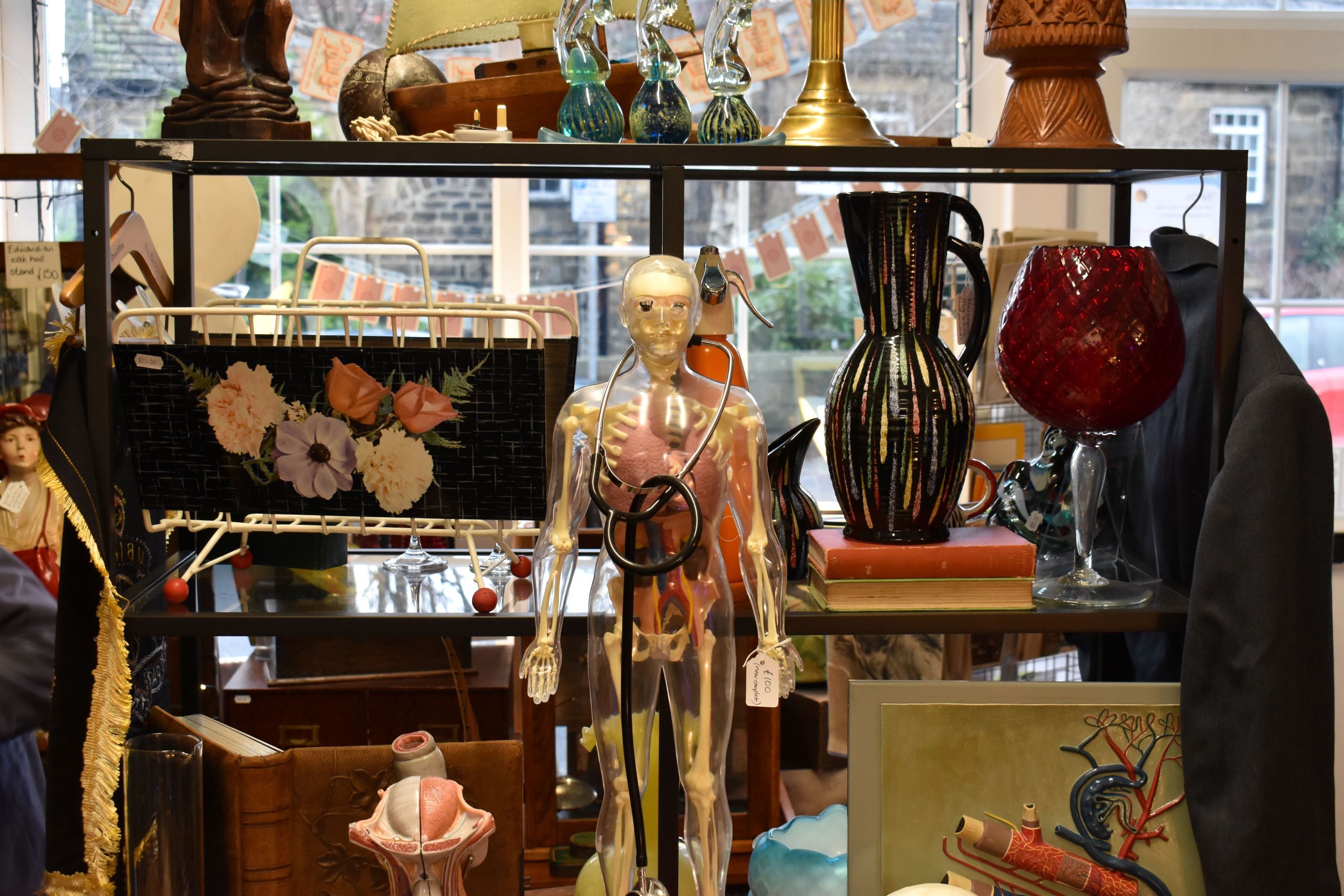 Image of a display with vintage anatomical models, ceramics and glassware.